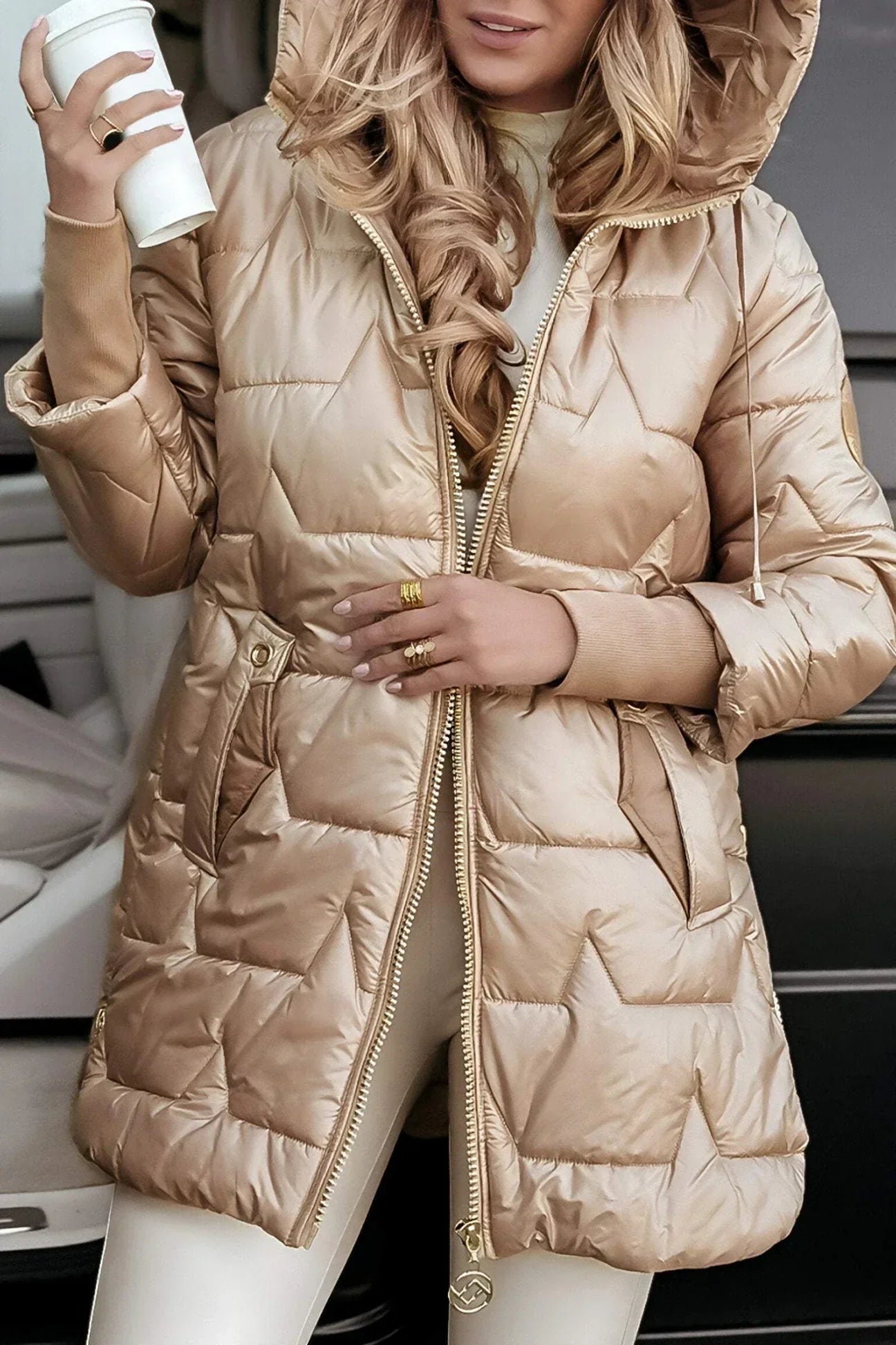 Elegant winter coat with hood and padding